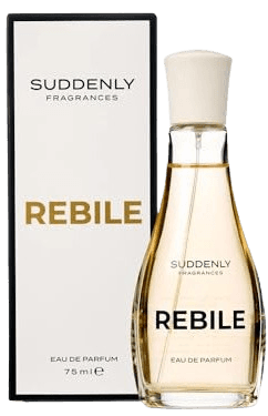 Suddenly - Rebile